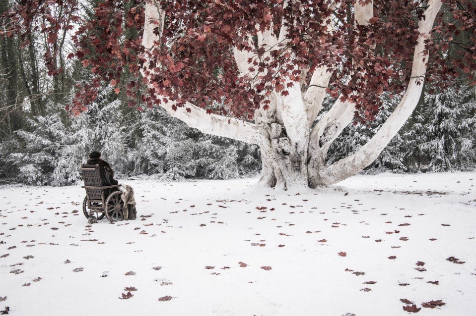 Bran Stark Explained